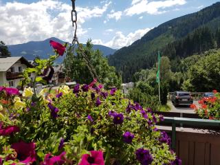 Pension Margarete - Zell am See - 1