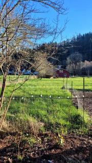 Unique Vacation Cottage in the Cascade Mountains near Oregon State University - 8