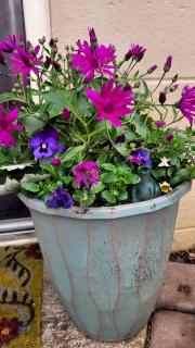 Unique Vacation Cottage in the Cascade Mountains near Oregon State University - 7