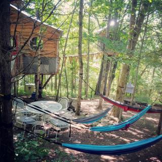 Stunning Tree House Tucked Away Among the Trees near Germantown, Kentucky - 4