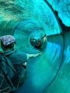 Stunning Tree House Tucked Away Among the Trees near Germantown, Kentucky - 3