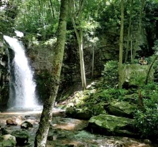 Authentic Pet-Friendly Cabin Rental in Cherokee National Forest in Tennessee -  - 9