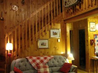 Secluded Pet-Friendly Log Cabin near Asheville, North Carolina - 9
