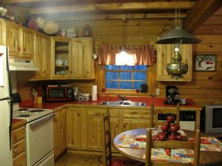 Secluded Pet-Friendly Log Cabin near Asheville, North Carolina - 8