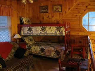 Secluded Pet-Friendly Log Cabin near Asheville, North Carolina - 7