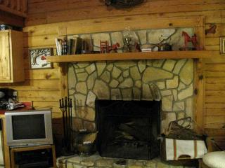 Secluded Pet-Friendly Log Cabin near Asheville, North Carolina - 5