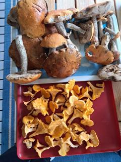 Idyllic Lake House in Sweden - 9