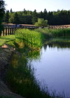 Spacious Bed and Breakfast Suite on Horse Farm for Unique Getaway in Oak Harbor, Washington - Maple Grove Beach - 6