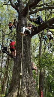 Enchanting Tree House with a Slide on 200 Acres for a Family Adventure in Germantown, Kentucky - 2