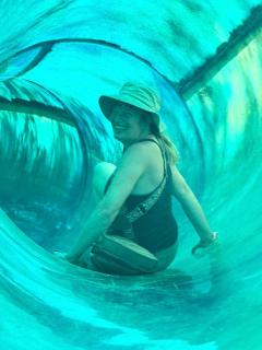 Enchanting Tree House with a Slide on 200 Acres for a Family Adventure in Germantown, Kentucky - 1