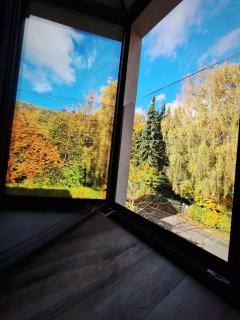 ZenArden - Ninglinspo Valley view Lodge - 5