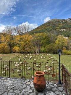 Charming Stone House in Provence - 4