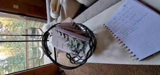 Blue Jay's Nest Sequoia Cabin in Ponderosa, CA - 4