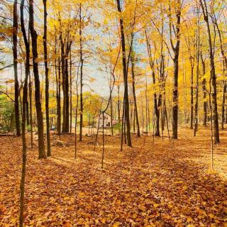 Modern Cottage Perfect for Glamping in New York State - 3