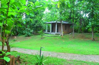 Queens Resort Udawalawa - 0