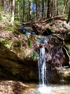 Cozy Studio Cabin Rental with Hot Tub Perfect for Glamping in Ohio - 3