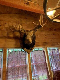 Spacious Adirondacks Cabin for a Family Getaway in New York State - Glenfield - 8