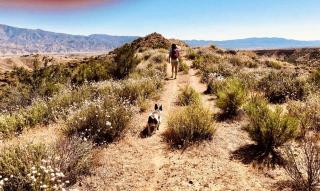 Glamorous California Campsite Retreat with Great Views - 5