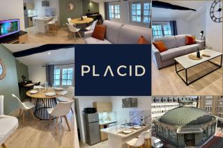 Le coeur de Limoges Hyper centre et rénové - 9