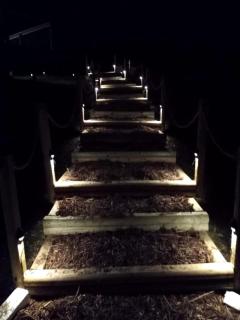 Luxury Dome near Austin for Fun Things to Do in Texas - 9