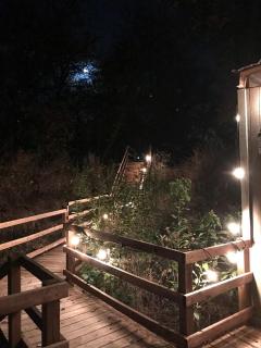 The Casa Estiva- A Restful Getaway in the Forest in Weatherford, TX - 7