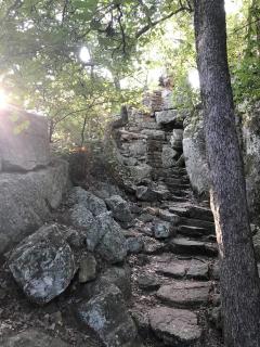 Hidden Treasure Harvest House Forest Getaway 30 Min. West of Fort Worth - Springtown - 5