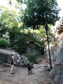 Hidden Treasure Harvest House Forest Getaway 30 Min. West of Fort Worth - Springtown - 4