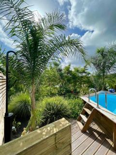 La Papaye d’Or - 2