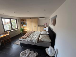 M-Suites Petit - Near Frankfurt Airport - Hattersheim - 2