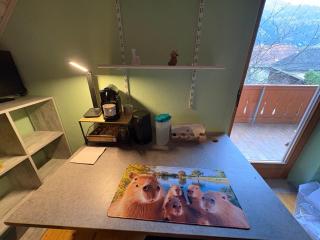 Capybara Guest House - 5