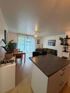 Appartement rue Hatt - 5