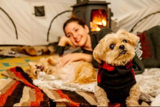 Piebald Mountain Pet Friendly Tents, Petersburg, New York - Pownal - 8