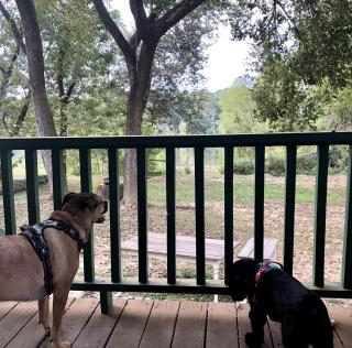 Fascinating Off-Grid River House for an Authentic Escape into Nature on the Alabama River - 2