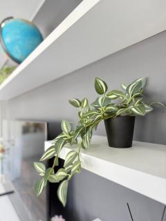 Modern Blue Double Room Apartment in the Center - 6