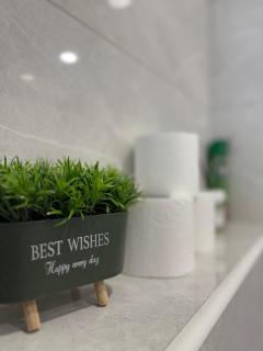 Modern Blue Double Room Apartment in the Center - 1