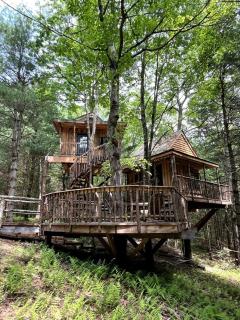 Eco-Friendly, Abstract Treehouse Surrounded by Wildlife and Hiking Trails For a Special Getaway in Sparrow Bush, New York - 1
