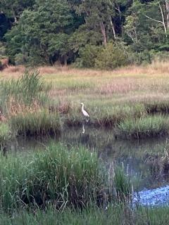 Tranquil Glamping near the Coast: Charming Rustic Cabin Rental in Midway, Georgia - 2
