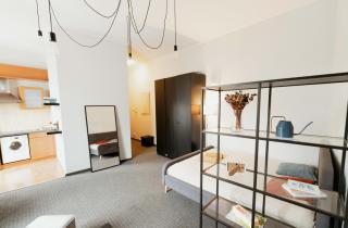 Gedimino Avenue Central Apartment - 5