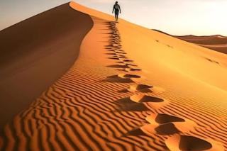 Merzouga Best Luxury Camp - 7