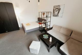 Gedimino Avenue Central Apartment - 2