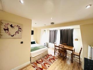 Nice one bed room flat in central London - 2