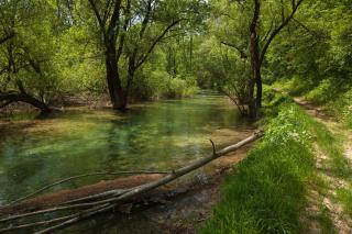 Guesthouse Zafran - 3