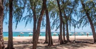 Cozy Blue Tourist Residence - 9