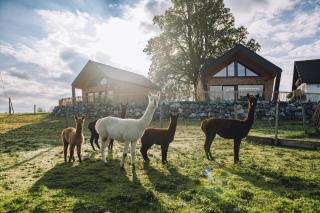 Lindenhof Chalets - 9