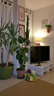 Cristina' s flat - Misano Adriatico - 6