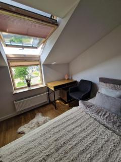 Apartament nad Hańczą - klimatyzacja, parking podziemny - 2