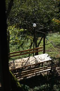 Sunny Side - მზიანი მხარე - 4