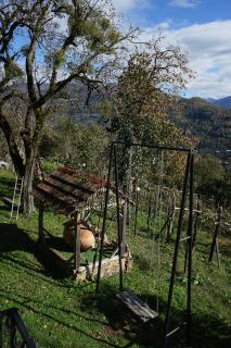 Sunny Side - მზიანი მხარე - 5