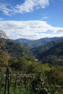 Sunny Side - მზიანი მხარე - 7