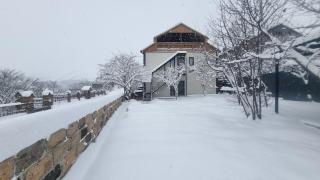 Villa Nazani,entire home ,дом целиком - 0